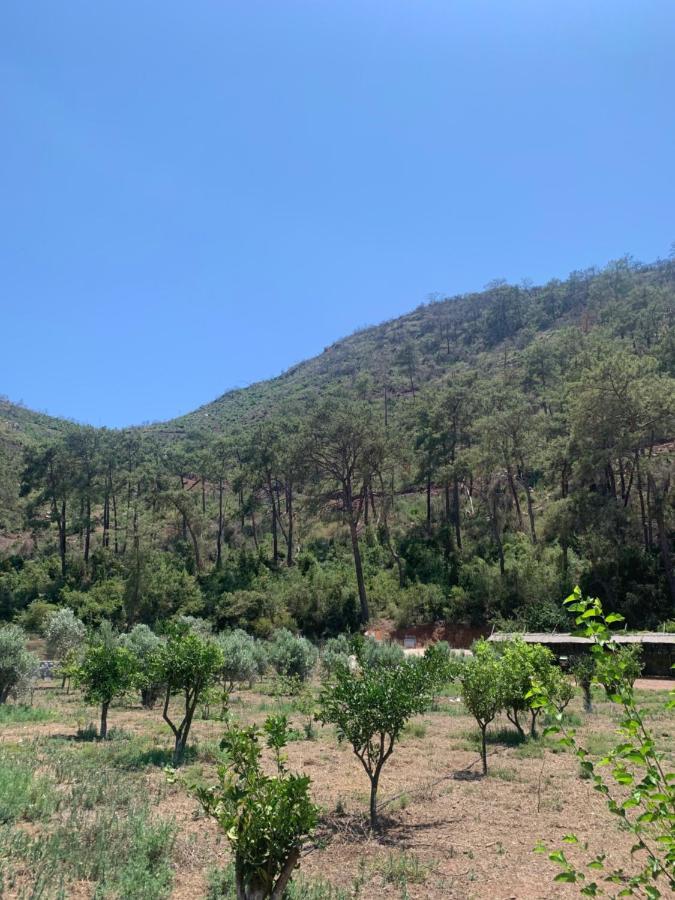 Doga Ciftlik Konaklama Marmaris Exterior foto