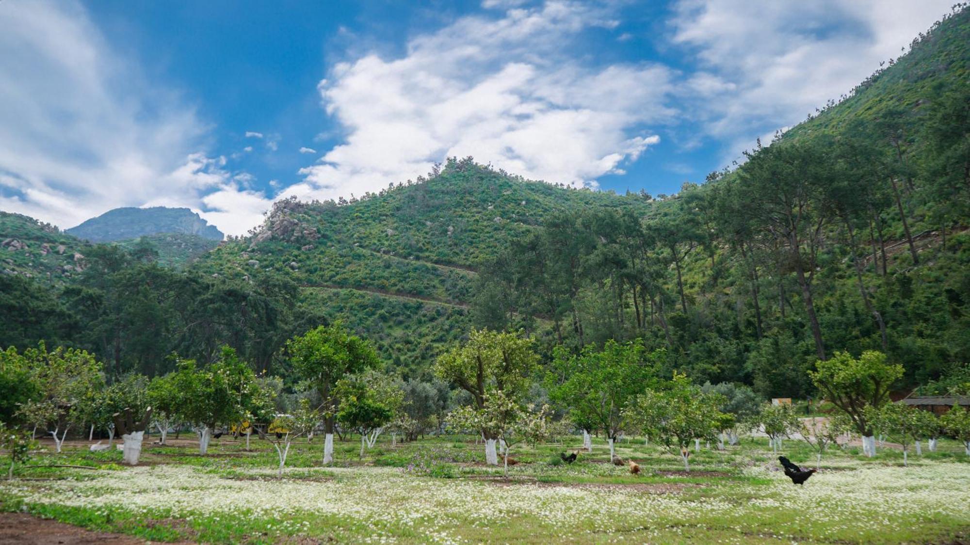Doga Ciftlik Konaklama Marmaris Exterior foto
