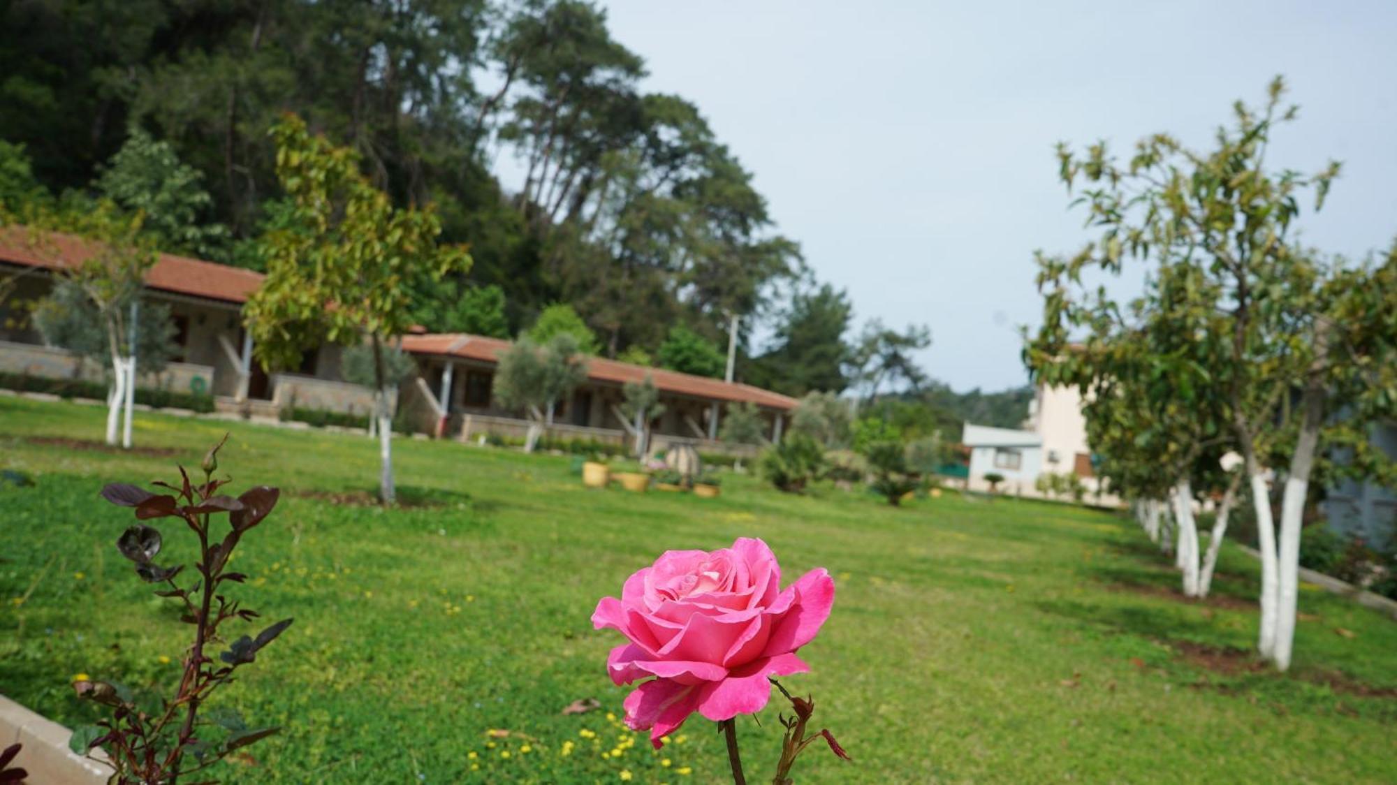 Doga Ciftlik Konaklama Marmaris Exterior foto